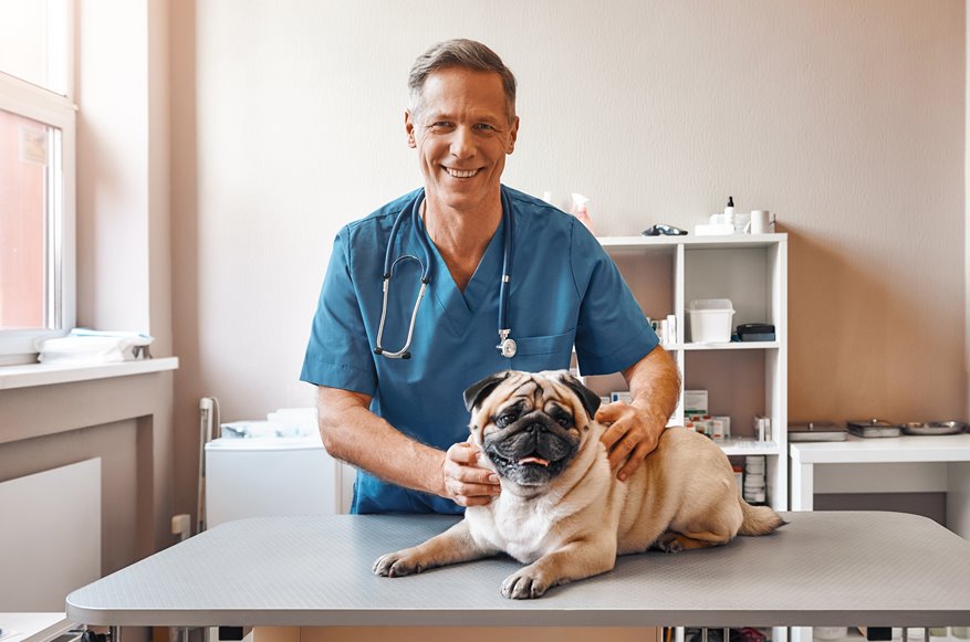 Male veterinarian smiling while holding a dog at his clinic.