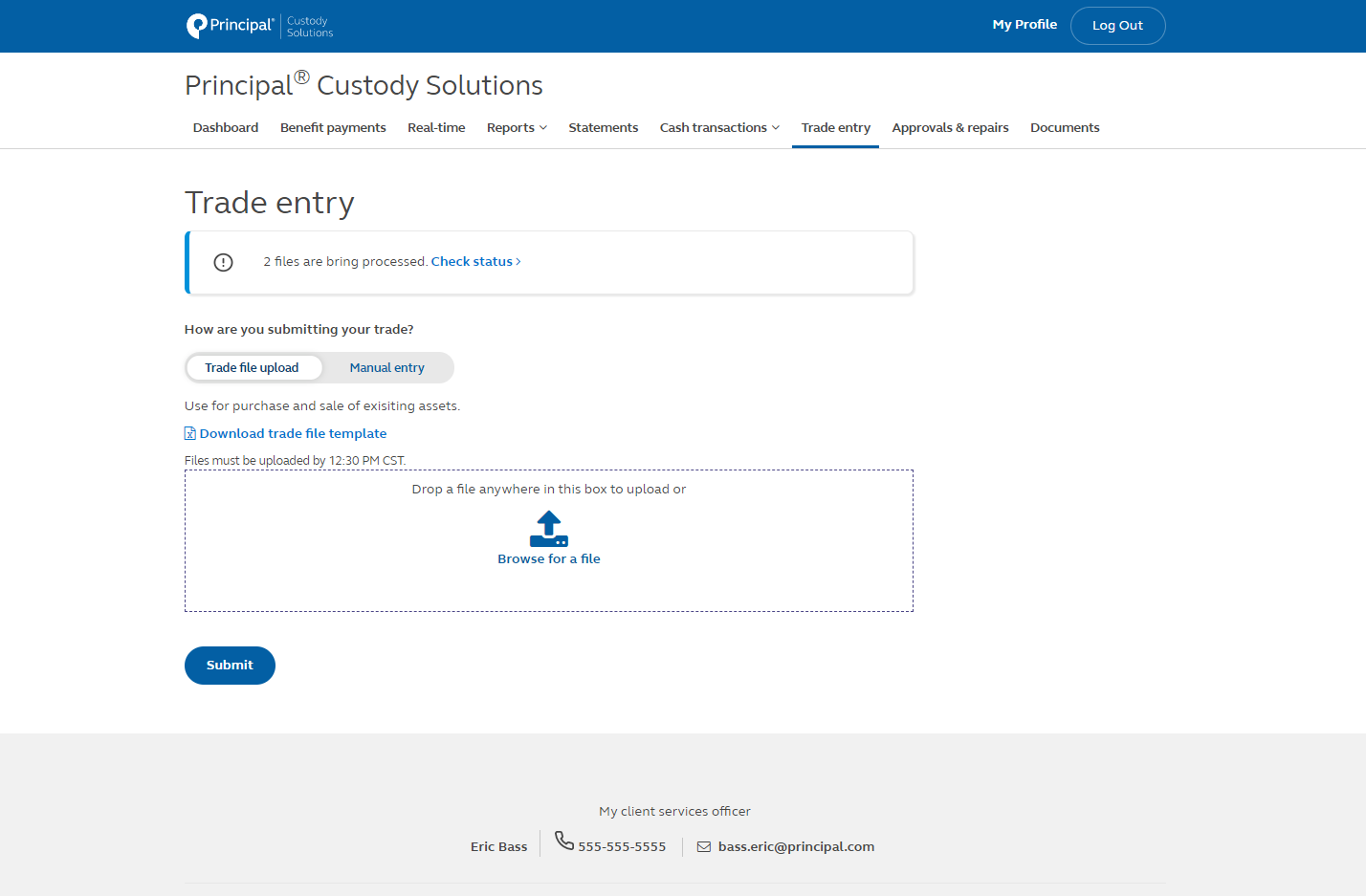 Account view of trade entry information within a custodial account.